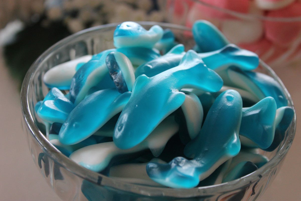 CANDY BAR DULCE+SALADO 12